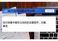 哈尔滨高效网站建设公司_(打造高效美观的公司官方网站)